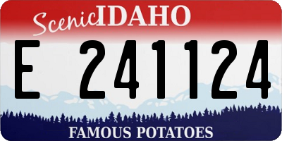 ID license plate E241124