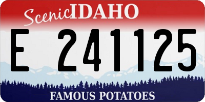 ID license plate E241125