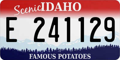 ID license plate E241129