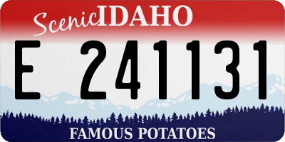 ID license plate E241131