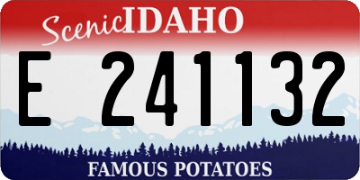 ID license plate E241132