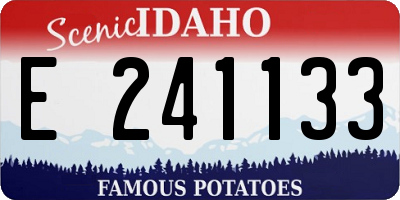 ID license plate E241133