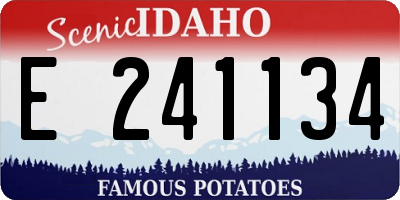 ID license plate E241134