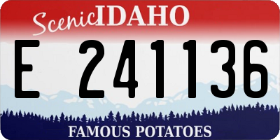 ID license plate E241136