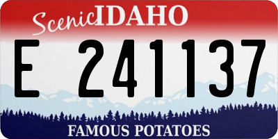 ID license plate E241137