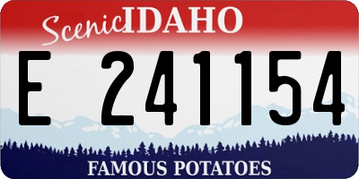 ID license plate E241154
