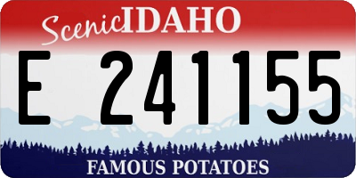 ID license plate E241155