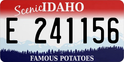 ID license plate E241156