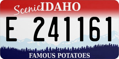 ID license plate E241161