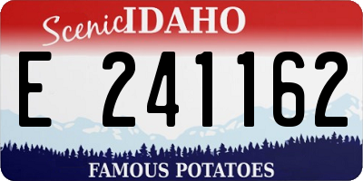 ID license plate E241162