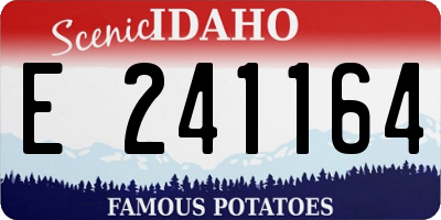 ID license plate E241164