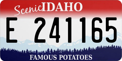 ID license plate E241165