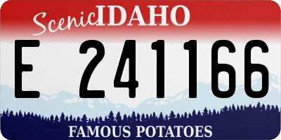 ID license plate E241166