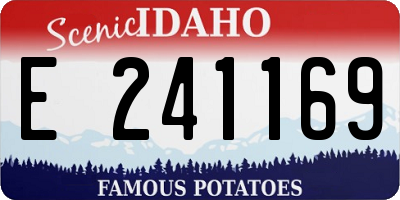 ID license plate E241169