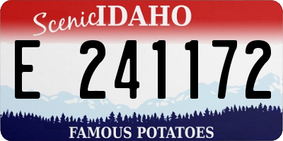 ID license plate E241172