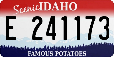 ID license plate E241173