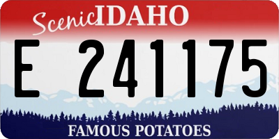 ID license plate E241175