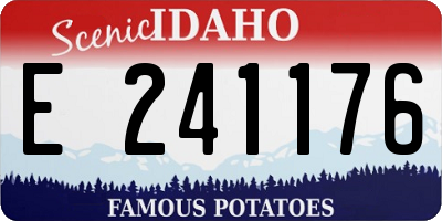 ID license plate E241176