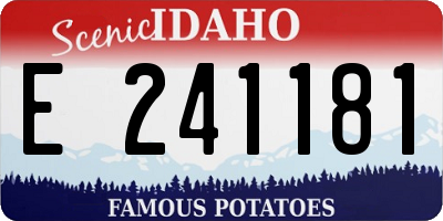 ID license plate E241181