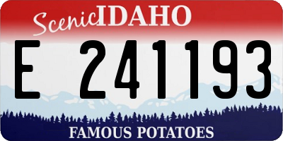 ID license plate E241193