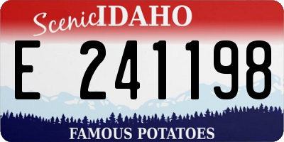 ID license plate E241198