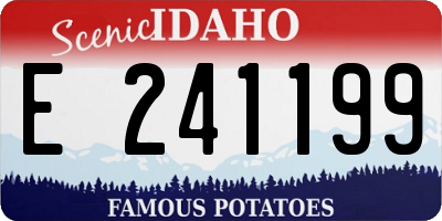 ID license plate E241199