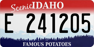 ID license plate E241205