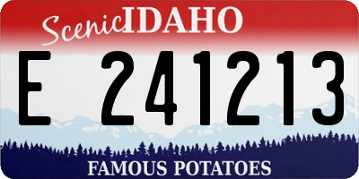 ID license plate E241213