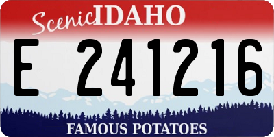 ID license plate E241216