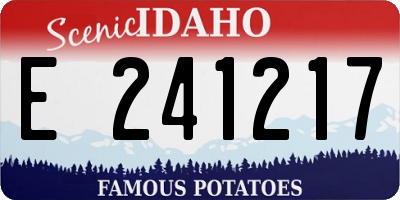 ID license plate E241217