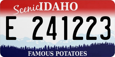 ID license plate E241223