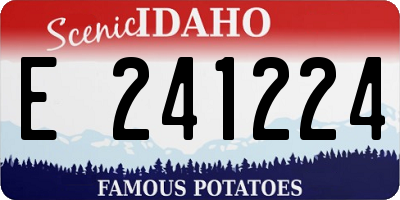 ID license plate E241224