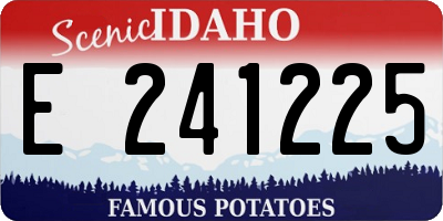 ID license plate E241225