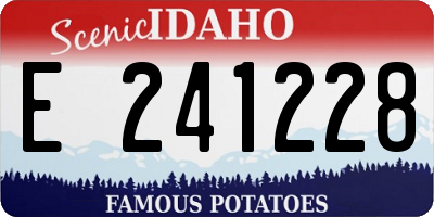 ID license plate E241228