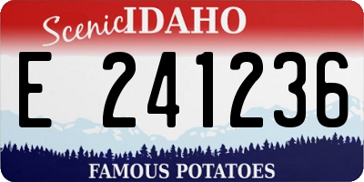 ID license plate E241236
