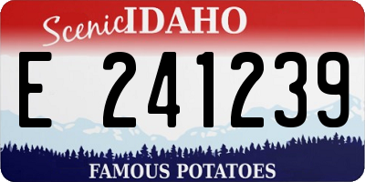ID license plate E241239