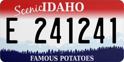 ID license plate E241241