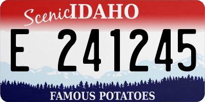 ID license plate E241245