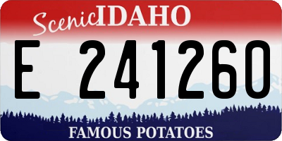 ID license plate E241260