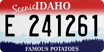 ID license plate E241261
