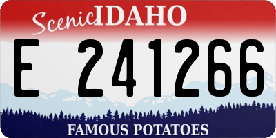 ID license plate E241266