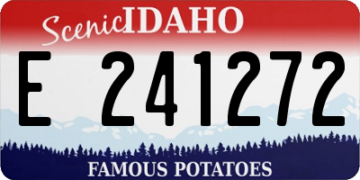 ID license plate E241272