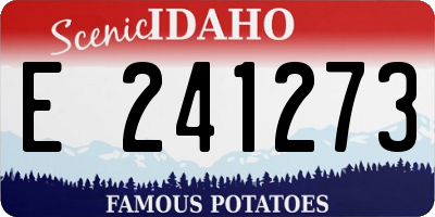 ID license plate E241273