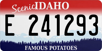 ID license plate E241293