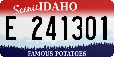 ID license plate E241301