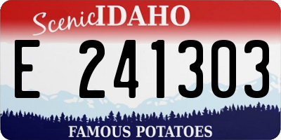 ID license plate E241303