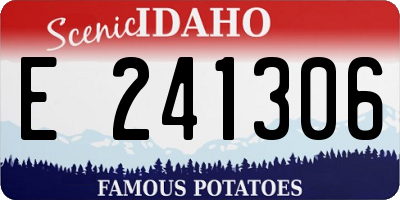 ID license plate E241306