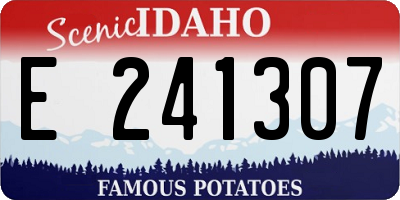 ID license plate E241307