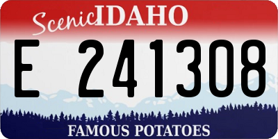 ID license plate E241308