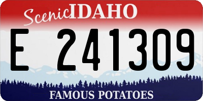ID license plate E241309